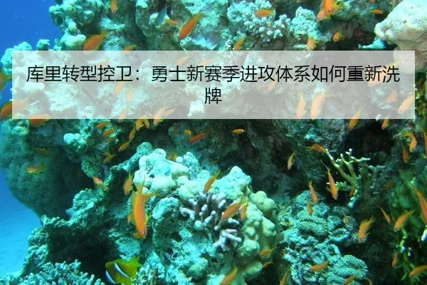 ku-li-zhuan-xing-kong-wei-yong-shi-xin-sai-ji-jin-gong-ti-xi-ru-he-chong-xin-xi-pai-2-350.jpg